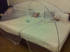 Two-person tent poles and king-sized box net over twin beds.